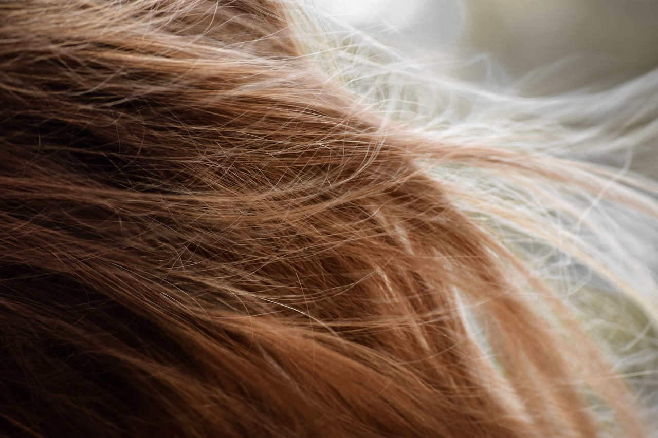 Pointes fourchues : causes, prévention et vraies solutions